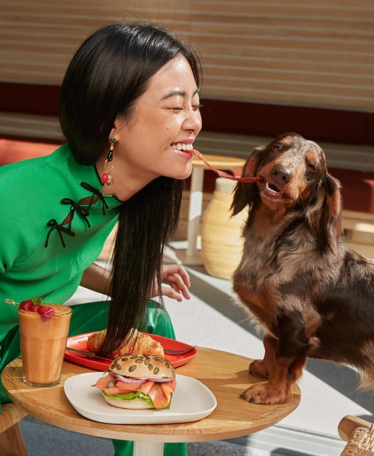 Hotel The Standard, HHQ Zewnętrze zdjęcie A woman feeding her dog